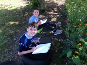 Pointillism Art Lesson in our school grounds