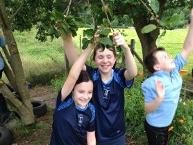 Apple Picking Antics